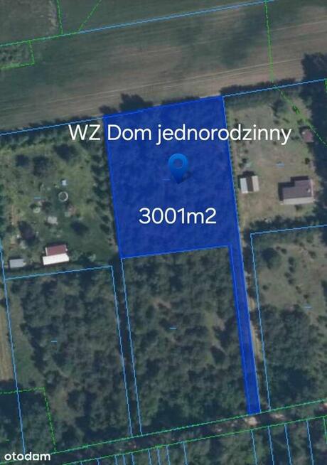 Działka | w Lesie | 3001m2 | Łopacin | gm. Sońsk