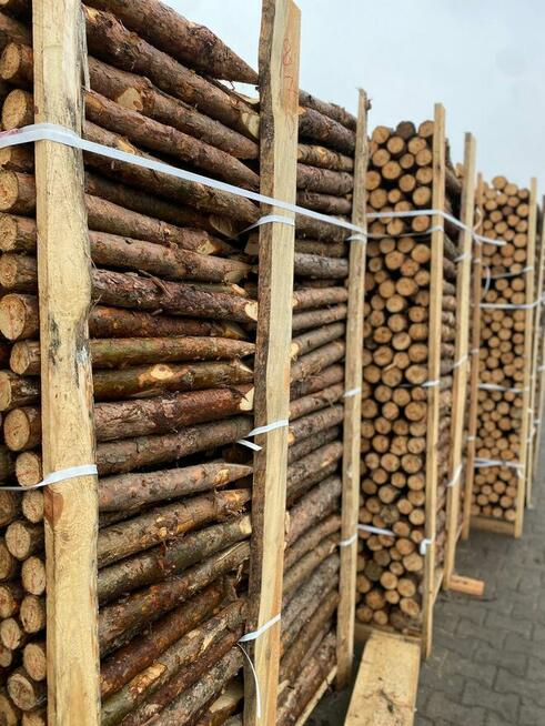 PALIKI MELIORACYJNE faszyna i palisada, kołki, pale