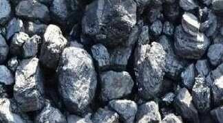 orzech i inne rodzaje dostawa