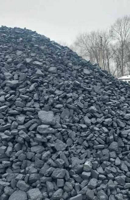 Węgiel różne rodzaje w promocji