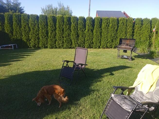 Do sprzedania działka RODO, osiedle Wólki Nowy Sącz