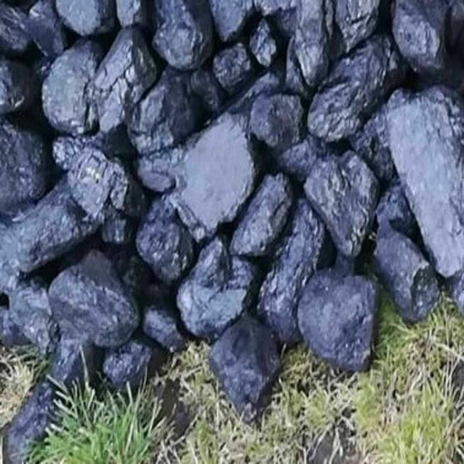 Węgiel w kilku rodzajach