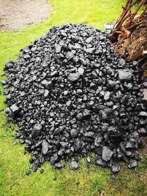 Tani węgiel promocja