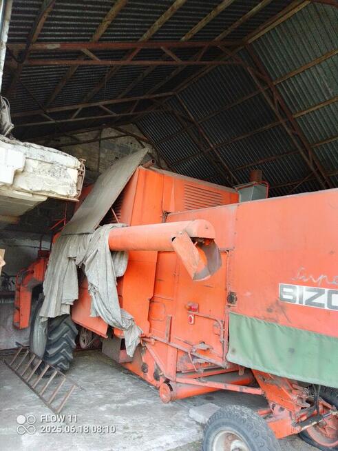 Sprzedam bizona zo56