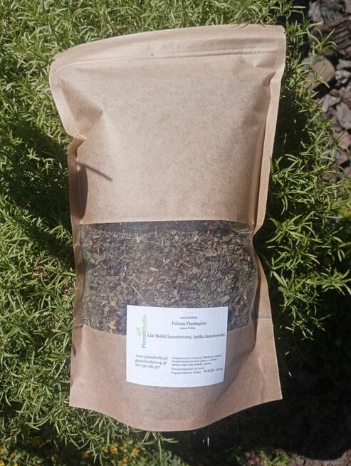 Liść babki lancetowatej naturalne świeże zioła polskie 100g
