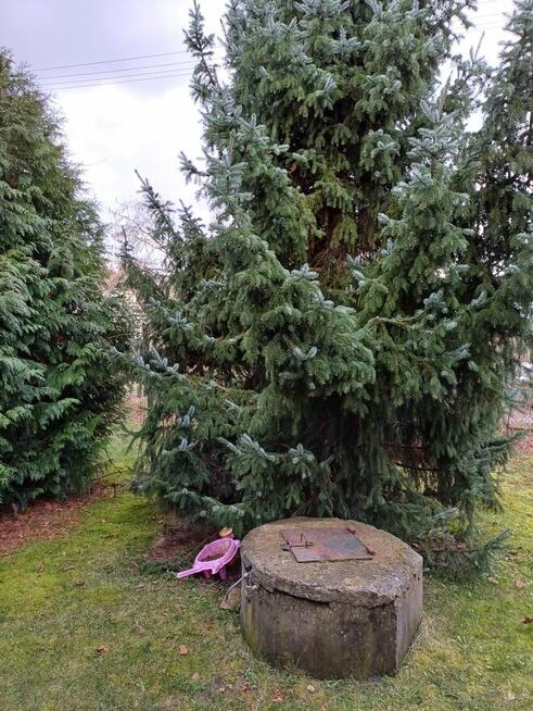 Działka ROD Konwalia 500m2 Mokra Prawa / Skierniewice