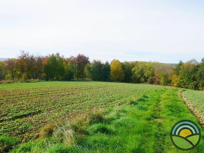 Radwanowice gm. Zabierzów - widokowa 53-arowa działka rolna