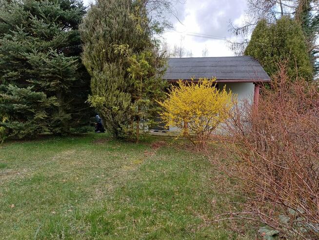 Działka ROD Konwalia 500m2 Mokra Prawa / Skierniewice