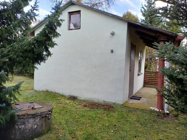 Działka ROD Konwalia 500m2 Mokra Prawa / Skierniewice