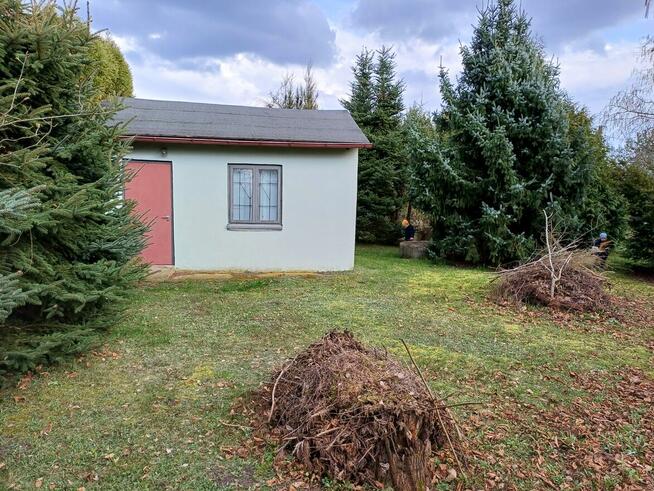 Działka ROD Konwalia 500m2 Mokra Prawa / Skierniewice