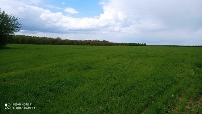 działka rolna gm. Sienno, WYGODA, pow. lipski