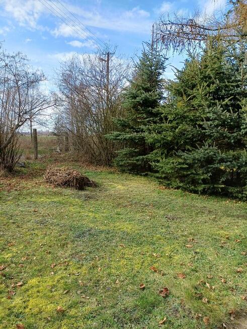 Działka ROD Konwalia 500m2 Mokra Prawa / Skierniewice