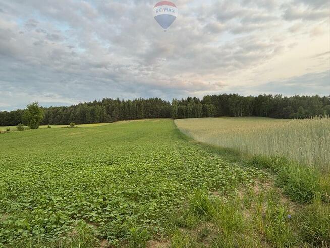 "Wiejskie Życie: Domek z Ogrodem w Feliksowie"