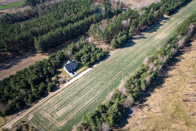 Działka budowlana Dębinkach niedaleko Serocka