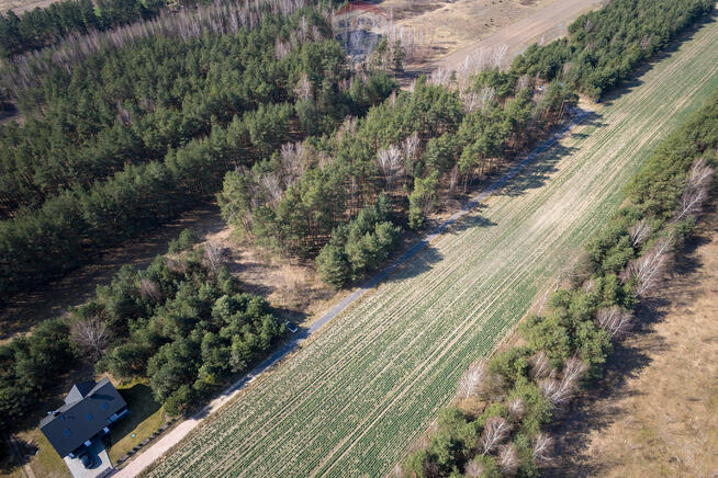Działka budowlana Dębinkach niedaleko Serocka