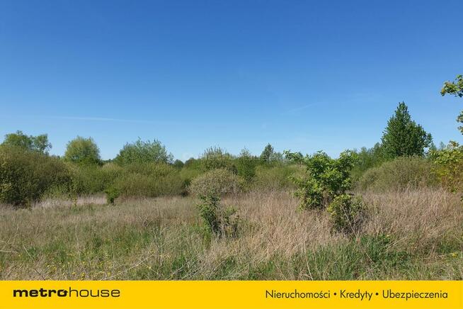 Działka Jarczechowo