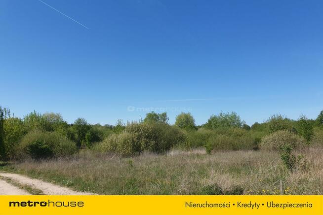 Działka Jarczechowo