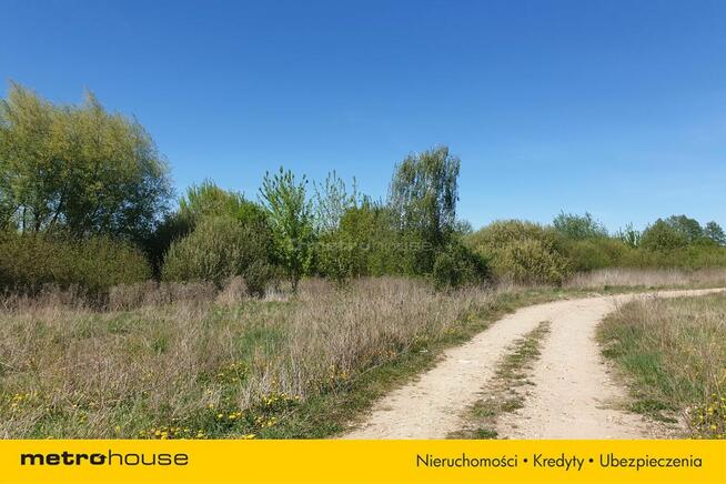 Działka Jarczechowo