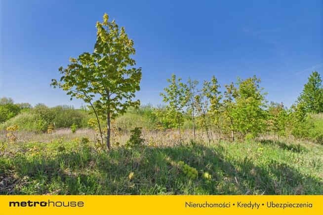 Działka Jarczechowo