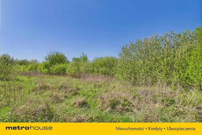 Działka Jarczechowo