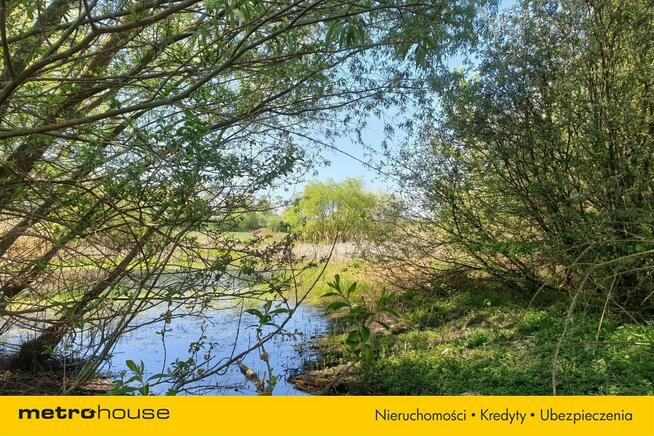 Działka Jarczechowo