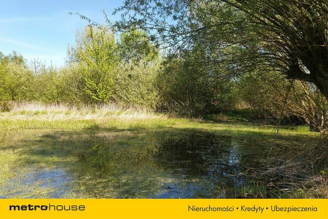 Działka Jarczechowo