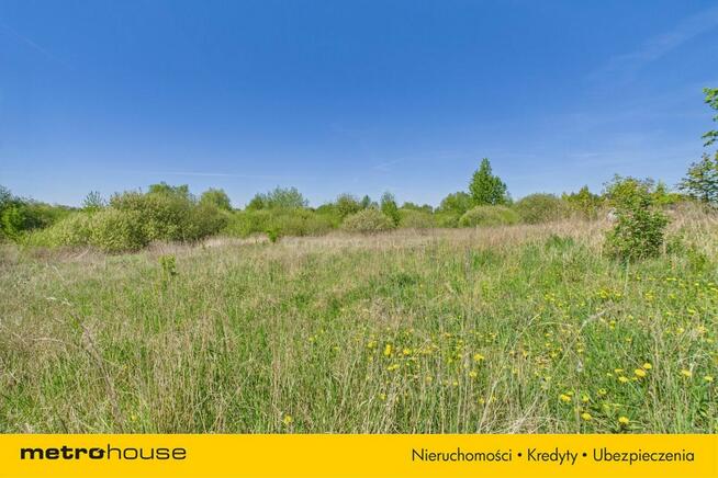 Działka Jarczechowo