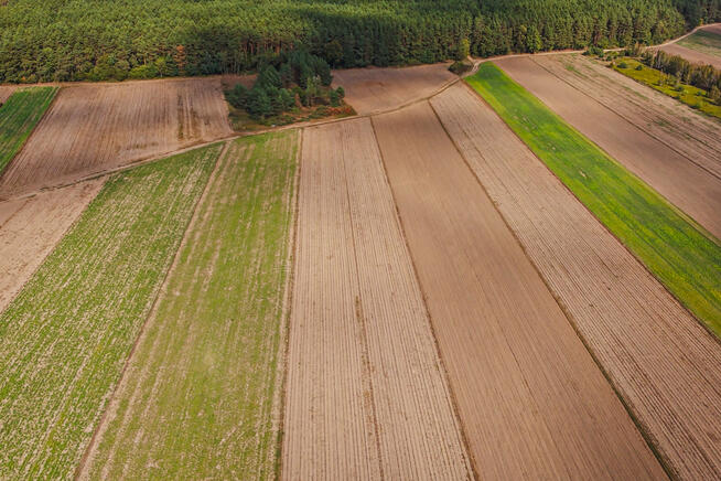 ✅Sprawdź&gt;&gt;&gt; Działka inwestycyjna pod Radzyminem✅