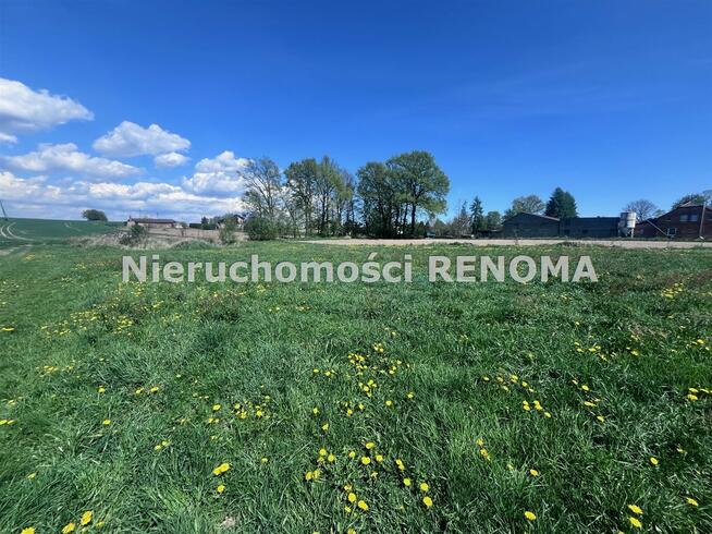 Działka Krzyżowice gm. Pawłowice, Szkolna