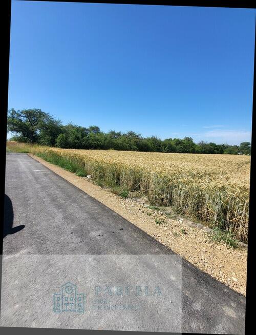 Duża działka 10 km od Radomska