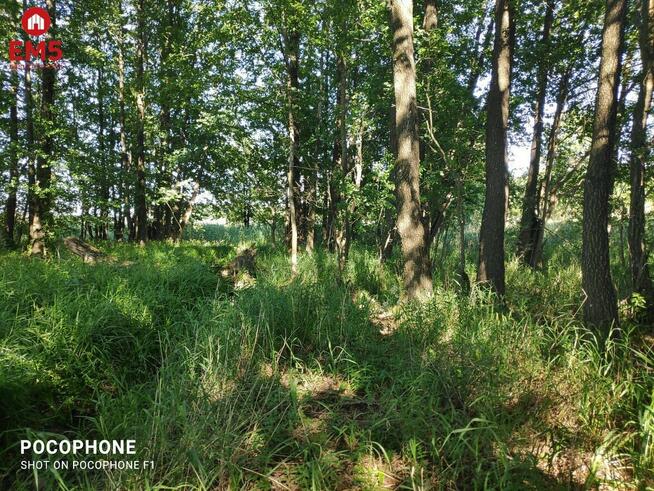 Działka rolna Rożyńsk Wielki gm. Prostki Rożyńsk Wielki