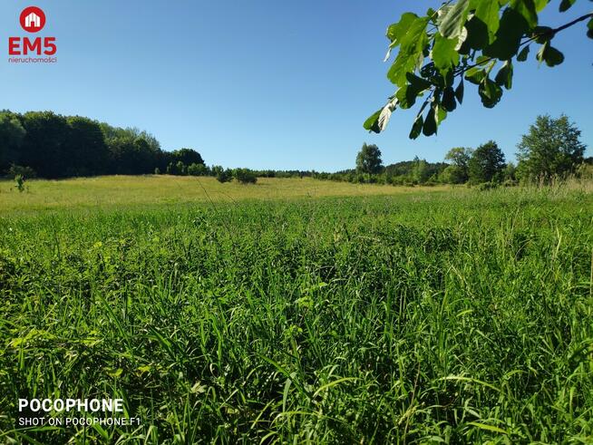 Działka rolna Rożyńsk Wielki gm. Prostki Rożyńsk Wielki