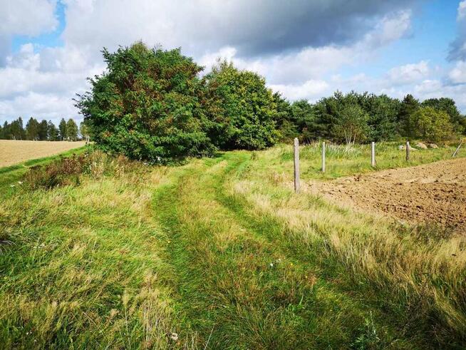 Świeszewo,gm.Gryfice,1.8458ha,Decyzja wz,pod dom.