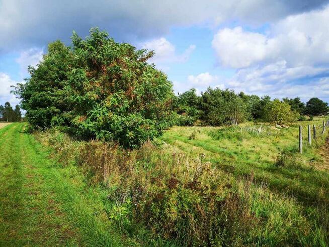 Świeszewo,gm.Gryfice,1.8458ha,Decyzja wz,pod dom.