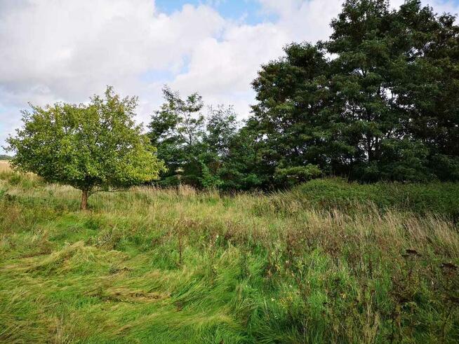 Świeszewo,gm.Gryfice,1.8458ha,Decyzja wz,pod dom.