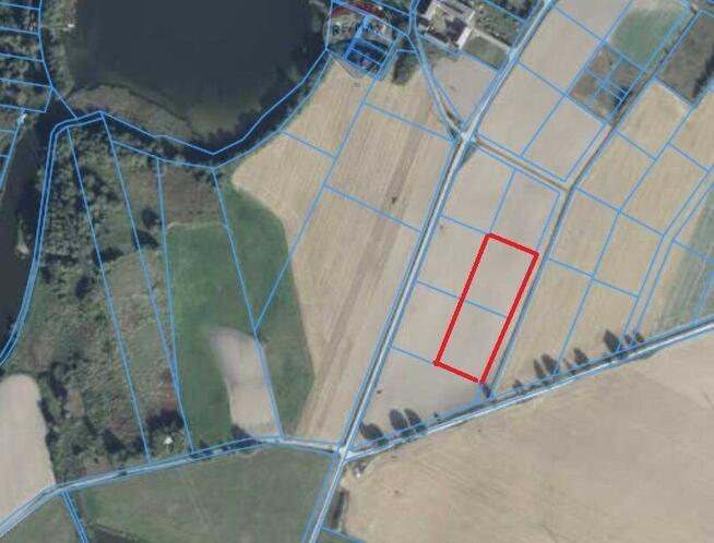 Duże działki blisko Jeziora Margonin