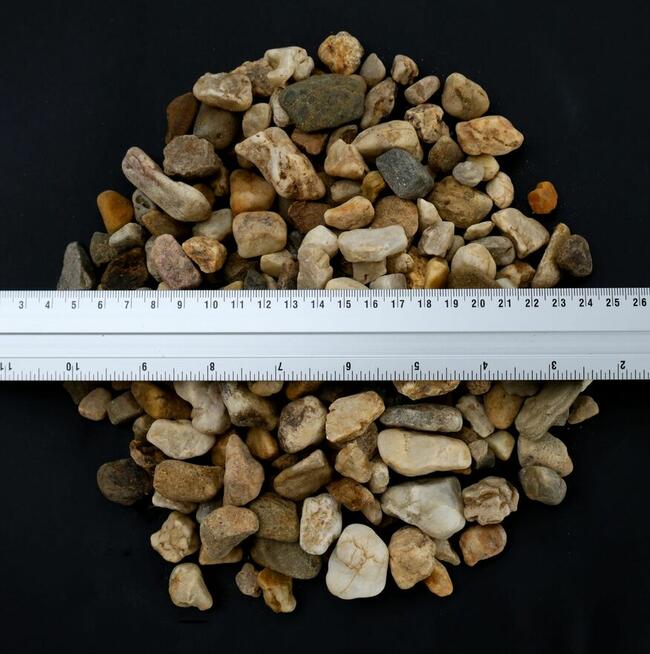 Grys granitowy Dalmatyńczyk 16-22