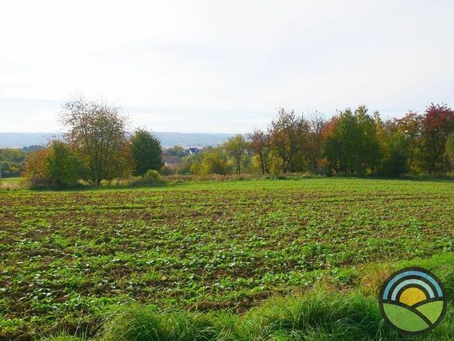 Radwanowice gm. Zabierzów - widokowa 53-arowa działka rolna