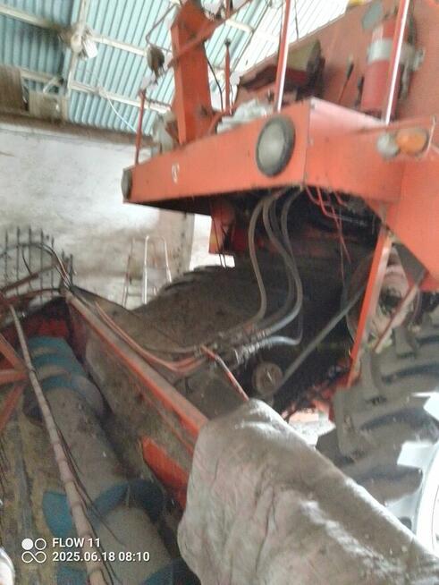 Sprzedam bizona zo56