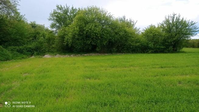 działka rolna gm. Sienno, WYGODA, pow. lipski