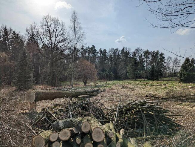 Działka budowlana 9ar Katowice, przy lesie
