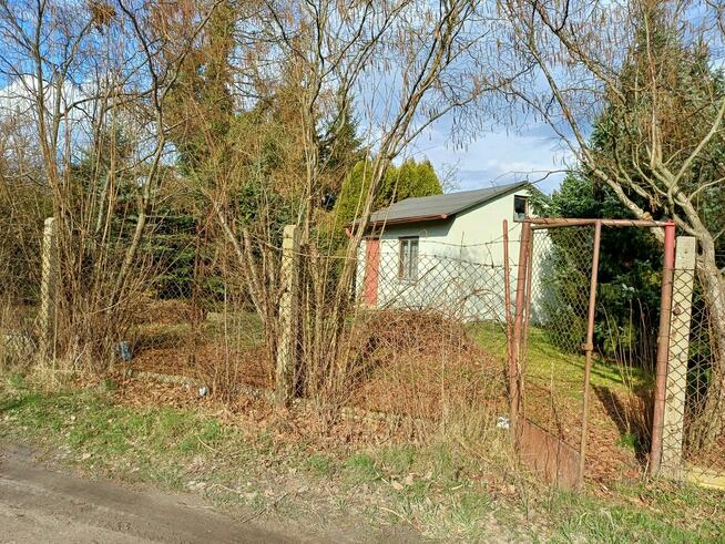 Działka ROD Konwalia 500m2 Mokra Prawa / Skierniewice