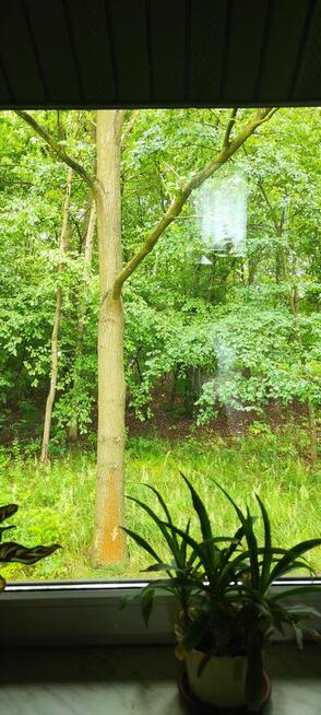 Zamienię mieszkanie