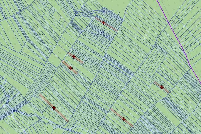 Działki leśne – Jabłonka, Orawa – 9700 m² | 70 000