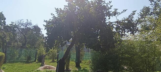 ROD Wisienka Wrocław