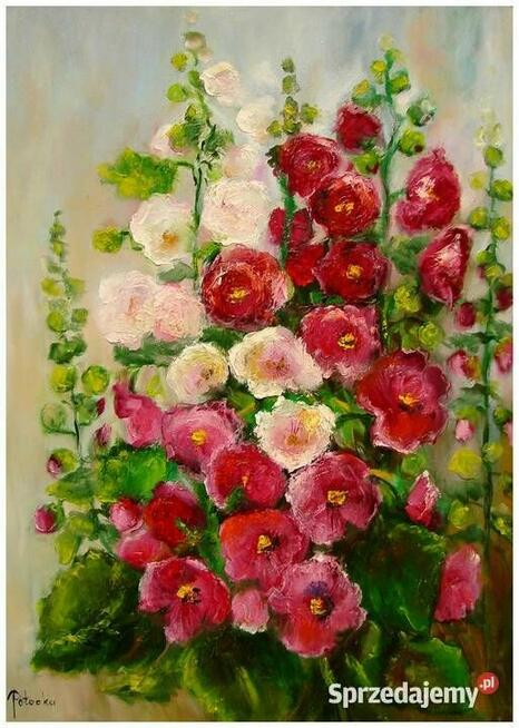 Malwy obraz olejny 50cm-70cm dostępny