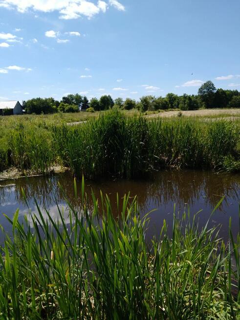 Siedlisko, Posesja Dom, Gospodarstwo Dom Szybka Sprzedaż !!