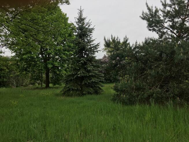 Arciechów budowlana 1220 m2.