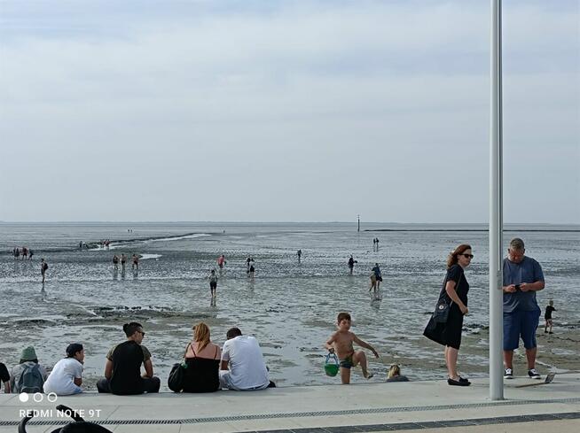 Czy znajdę tu przyjaciół ? Przyjaźń , dialog , kultura .