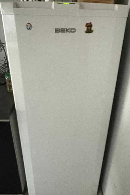 Zamrażarka Beko